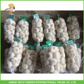 Low Price Jinxiang Chine Nouvelle récolte Fresh White Garlic 5.0CM Mesh Bag In Carton